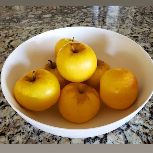 Meet your Posher, Kate - Picture 1 of 1